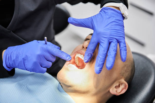 Best Walk-In Dentist Near Me  in Mapleton, ND